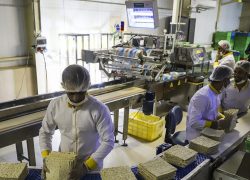 بیراهه‌های تسهیلاتی!