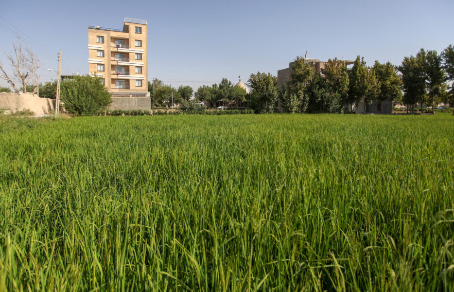 جایی برای زندگی؟!