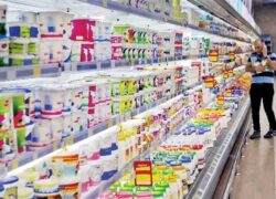 صادرات لبنیات ۴۳ درصد افزایش یافت