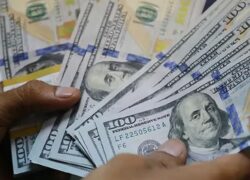 قیمت ارز امروز یکشنبه 31 فروردین 1404