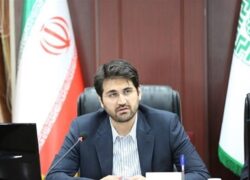 تامین۶۵درصد درآمدهای عمومی از طریق مالیات