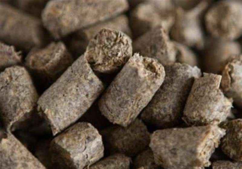 صادرات تفاله چغندر و نیشکر آزاد شد؛ گامی در مسیر ارزآوری از صنایع جانبی