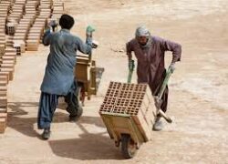 حذف نیروی کار خارجی برای تولید تهدید است یا فرصت؟