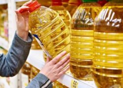 عرضه گسترده روغن در اصفهان