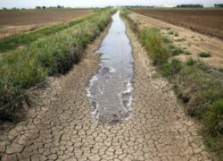 به‌روزرسانی ساختار کشاورزی برای مقابله با تغییرات اقلیمی