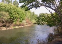 نگین سبز زاینده‌رود؛ باغبادران، مقصد گردشگری چهارفصل اصفهان