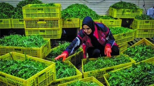 بحران کسب‌وکارهای خرد اصفهان | نیازمند حمایت فوری