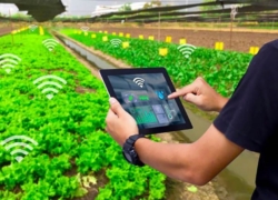 نجات منابع آب با آبیاری هوشمند