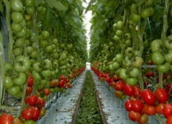 افتتاح و کلنگ‌زنی چندین طرح عمرانی و فرهنگی در خمینی‌شهر با حضور معاون استاندار