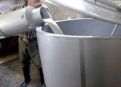 کشف ۴ تن شیر آلوده به آنتی‌بیوتیک غیرمجاز در خمینی‌شهر