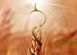 جذب ۱۳۹ میلیارد تومان زکات در نیمه نخست امسال در استان اصفهان