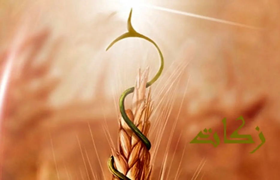 جذب ۱۳۹ میلیارد تومان زکات در نیمه نخست امسال در استان اصفهان