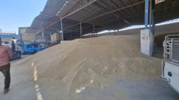 افزایش دوبرابری قیمت خوراک دام و طیور در اصفهان