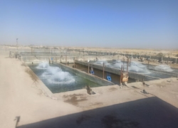 اصفهان؛ دریایی در دل خاک | پیشتاز شیلات ایران