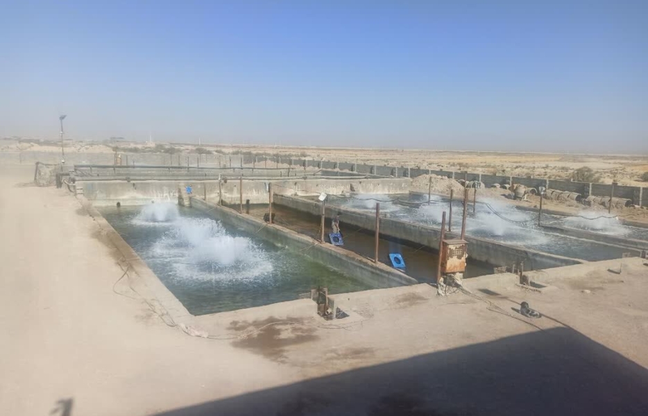 اصفهان؛ دریایی در دل خاک | پیشتاز شیلات ایران