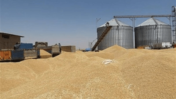 ذخیره گندم اصفهان در وضعیت مطلوب/ ورود ۲۰۹ هزار تن گندم در ۷ ماه