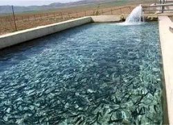 اصفهان؛ دریایی از فرصت در دل فلات مرکزی ایران