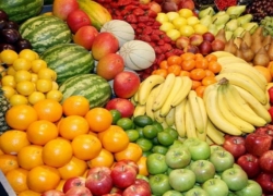 رئیس اتحادیه میوه‌فروشان اصفهان: بازار میوه یلدا هم بی‌رونق است