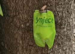 انقلاب سبز در درمان درختان: فناوری بومی اندوتراپی کم‌فشار