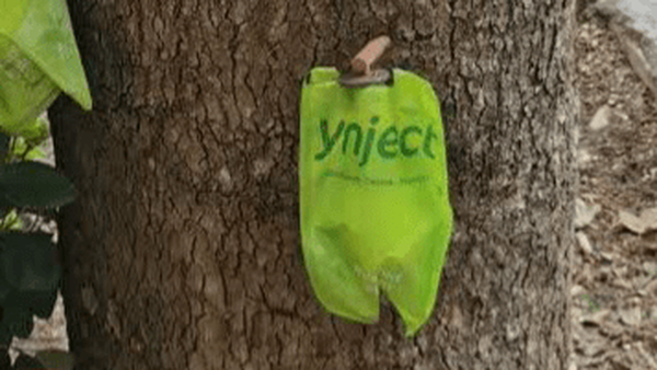 انقلاب سبز در درمان درختان: فناوری بومی اندوتراپی کم‌فشار