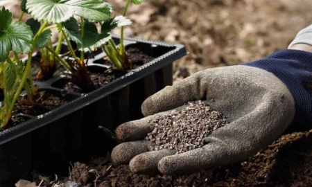 افزایش ۱۲ درصدی توزیع کودهای یارانه‌ای در استان اصفهان