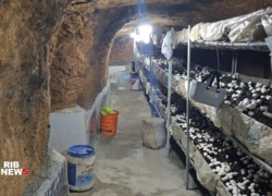 بهره‌برداری از دست‌کنده‌های باستانی فریدن