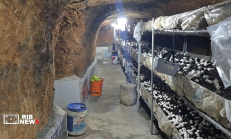 بهره‌برداری از دست‌کنده‌های باستانی فریدن