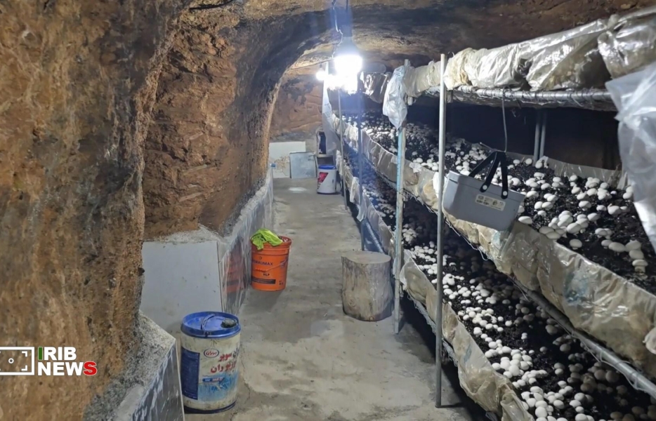 بهره‌برداری از دست‌کنده‌های باستانی فریدن