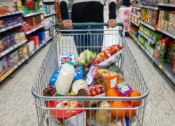 بررسی علل کمبود مقطعی برخی مواد غذایی در اصفهان