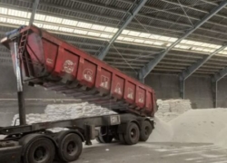 تأمین نهاده‌های کشاورزی استان اصفهان | تقویت تولید و امنیت غذایی