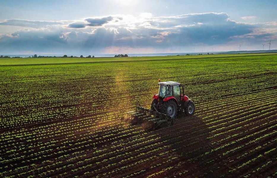 الگوی کشت؛ راه نجاتی برای زمین‌های تشنه اصفهان