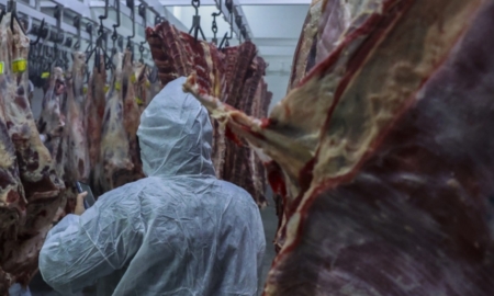 فعالیت کامل واحدهای دامداری و طیور در استان اصفهان / افزایش تولید محصولات پروتئینی