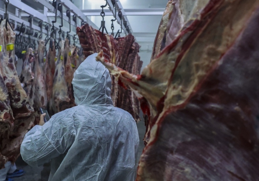 فعالیت کامل واحدهای دامداری و طیور در استان اصفهان / افزایش تولید محصولات پروتئینی