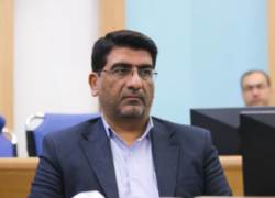 نرخ‌گذاری نانوایی‌های آزادپز بر مبنای قیمت تمام‌شده است / اصفهان قطب نان کامل و سنتی کشور