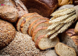 از نان سفید تا نان کامل؛ روایت موفقیت یک کسب‌وکار سنتی و علمی در اصفهان