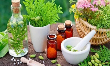 اصفهان؛ قطب رو به رشد گیاهان دارویی کشور | از گل محمدی تا زعفران