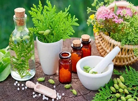 اصفهان؛ قطب رو به رشد گیاهان دارویی کشور | از گل محمدی تا زعفران