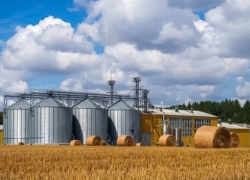 خرید تضمینی گندم در اصفهان با ۴۸ مرکز فعال