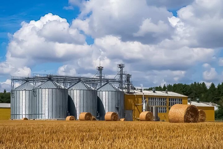 خرید تضمینی گندم در اصفهان با ۴۸ مرکز فعال