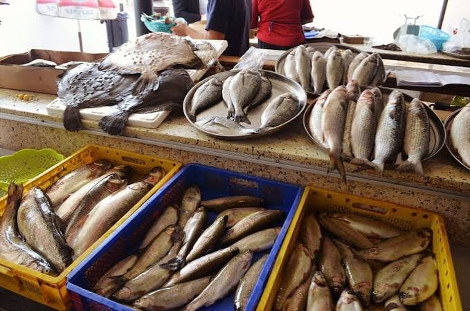 گزارش میدانی از بازار پروتئین اصفهان؛ ثبات سنگین گوشت قرمز و جهش قیمت ماهی و میگو