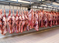 قیمت گوشت در اصفهان؛ چرا تولید بالا، قیمت را پایین نیاورد؟ + گفت‌وگو