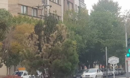 قیمت مسکن منطقه ۸ اصفهان + راهنمای سرمایه‌گذاری در خانه اصفهان